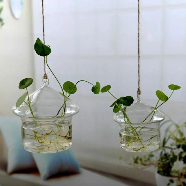 Jing - Hydroponic Hanging Flower Pot– Silky Decor